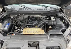 Ford F-150 2015 Gray