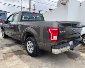 Ford F-150 2015 Gray