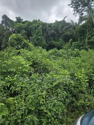 2000 Acres of Land at Ogbaaga
