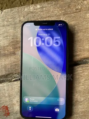 Apple iPhone 12 Pro Max 256 GB Blue