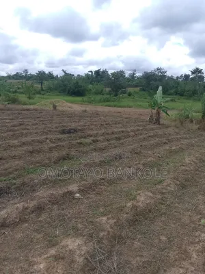 6 Plots of Land for Sale at Eleyowo Estate in a Swampy Area.