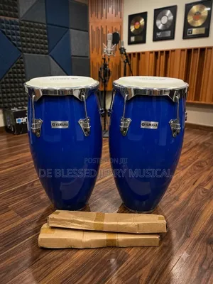 Conga Drum Set