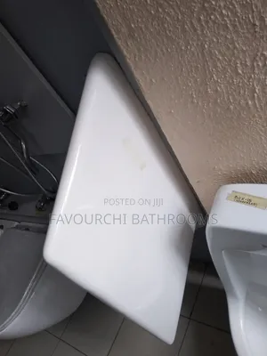 Urinal Divider