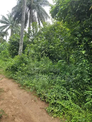 2100 Acres at Agbora Village Along Ikire Iwo Road