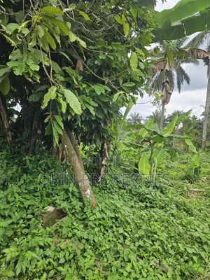 1000 Acres of Virgin Land at Oloode via Ifetedo