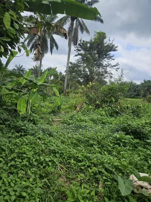 1000 Acres of Virgin Land at Oloode via Ifetedo