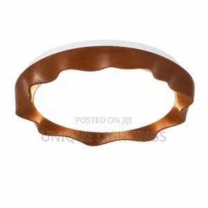 Evergreen 02 Ceiling LED Light (Warm and Pure White)