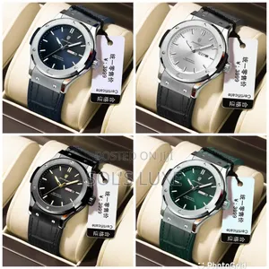 Poedagar Luxury Wrist Watch