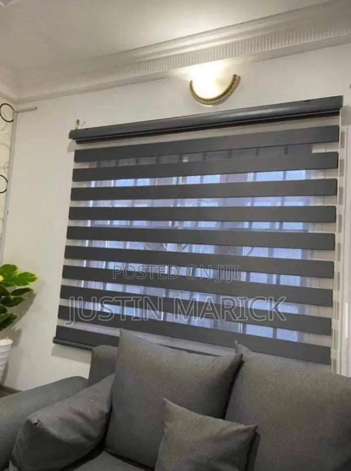 Window Blinds