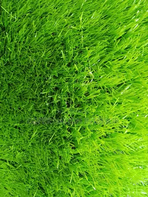 Artificial Grass 50 Mm , Available in Bulk . I Sell Per Square Metre.