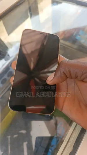 Apple iPhone 12 Pro 128 GB Rose Gold