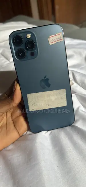 Apple iPhone 12 Pro Max 256 GB Blue