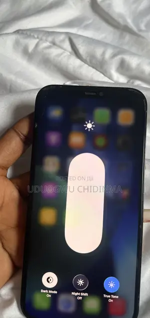 Apple iPhone 12 Pro Max 256 GB Blue
