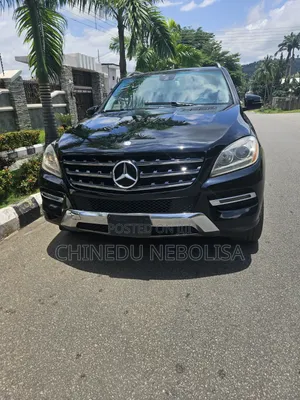 Mercedes-Benz M Class 2015 Black