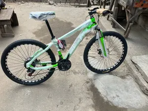 Kinda Bicycle