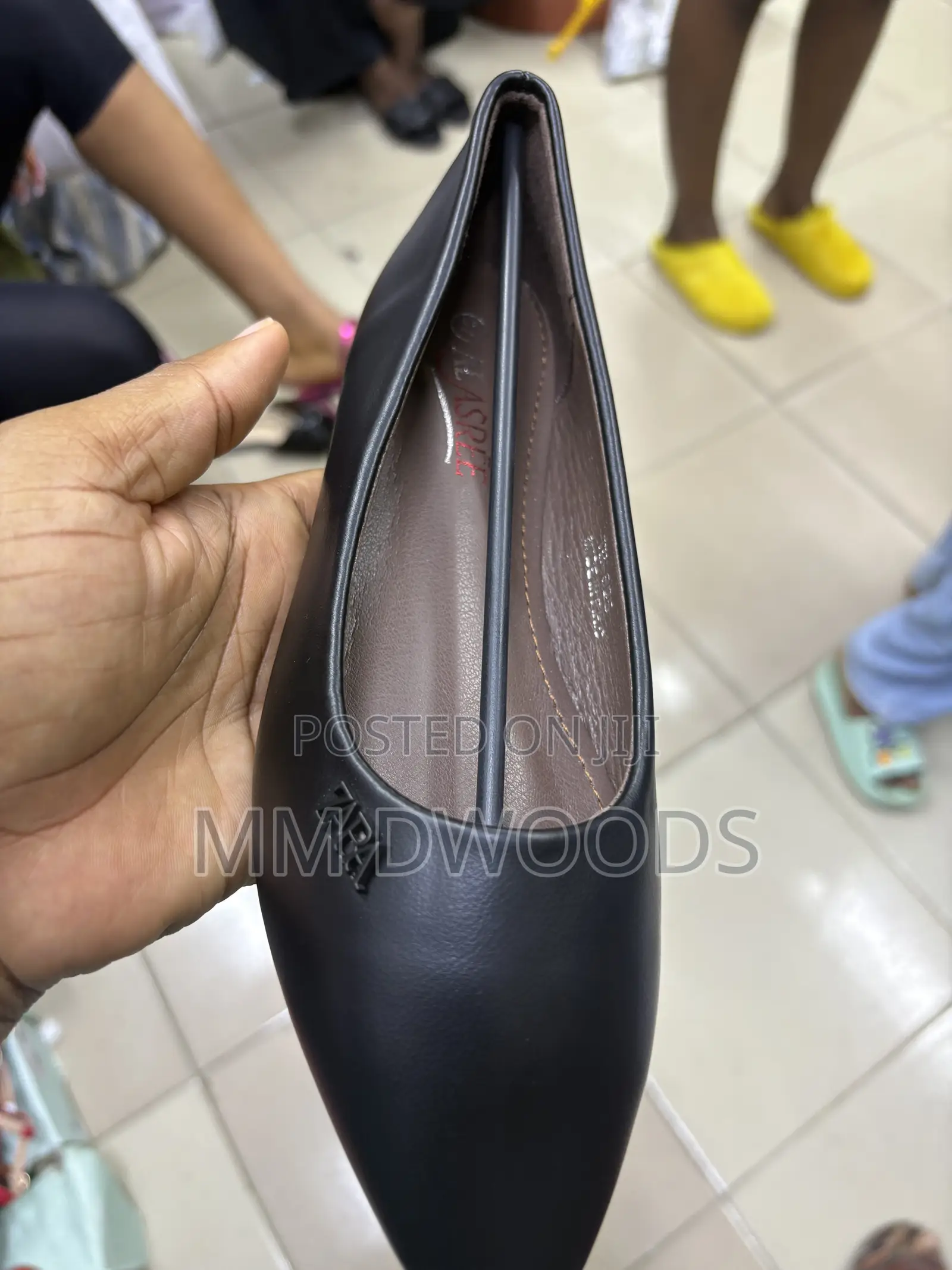 Leather Pointed Ballerina