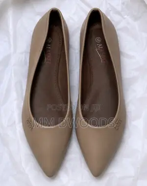 Leather Pointed Ballerina