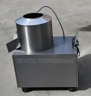High Quality Automatic Industrial Potato & Ginger Peeling Machine