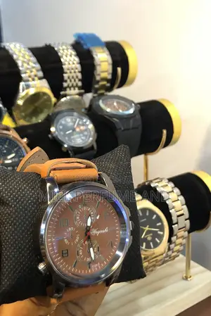 Weijieshi Watch