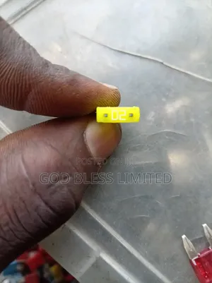 Mini Blade Fuse