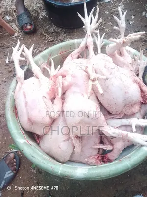 Choplife Poultry