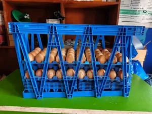 74cm by 46cm Big Egg Transfer Crate