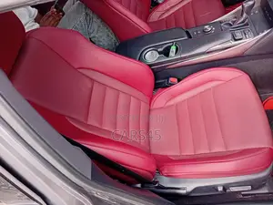 Lexus IS 2020 Gray