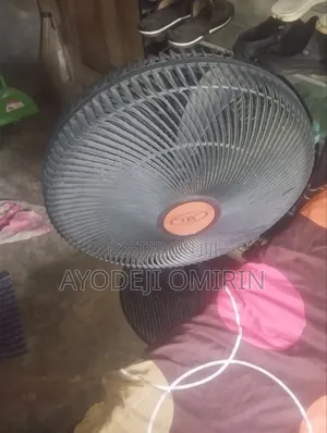 Small Ox Fan