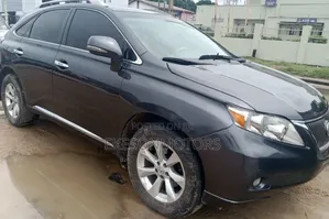 Lexus RX 2010 Gray
