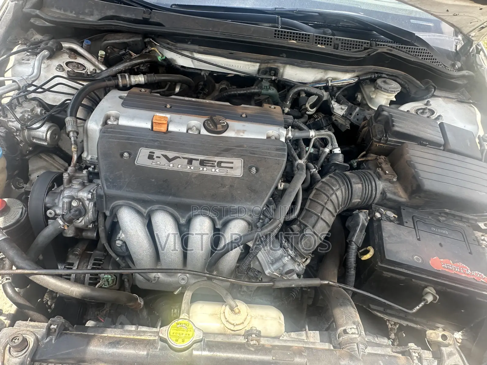 Honda Accord 2006 White