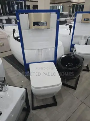 Luxury Wall Hung Toilet With Concealed Cistern Frame