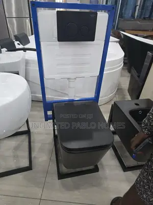 Modern Wall Hung Toilet With Concealed Cistern Frame
