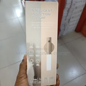 Intelligent Induction Light
