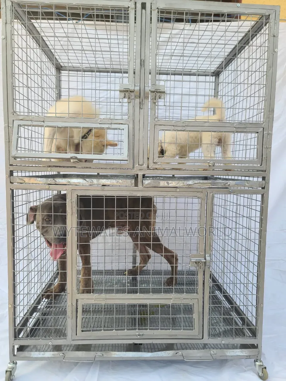 Double Cage for Dogs
