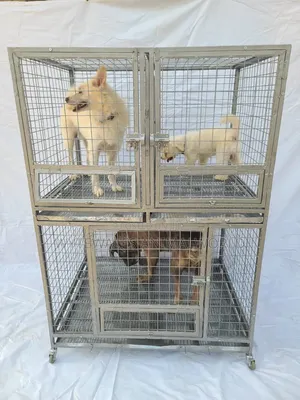 Double Cage for Dogs