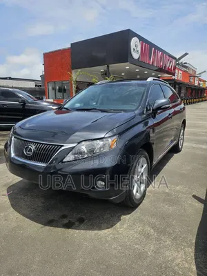 Lexus RX 350 2010 Gray