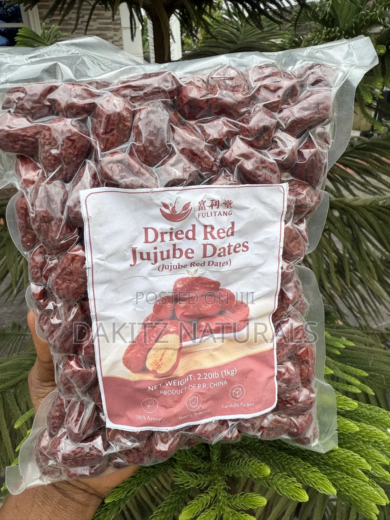 Jujube Red Date