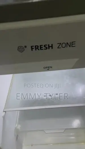 Few Months Used Fridge