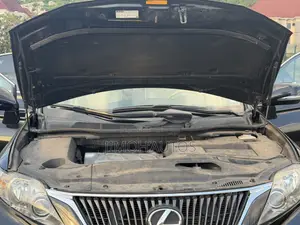 Lexus RX 2010 Black