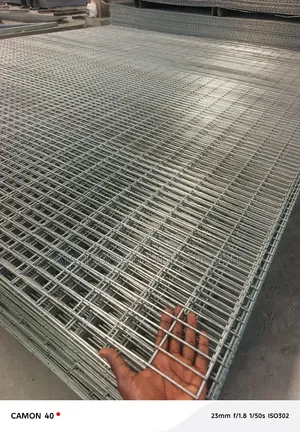 Galvanized Wire Mesh
