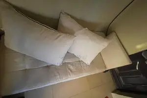 2 Sitters Chairs With Three Pillows.