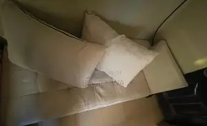 2 Sitters Chairs With Three Pillows.