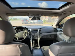Hyundai Sonata 2011 Blue
