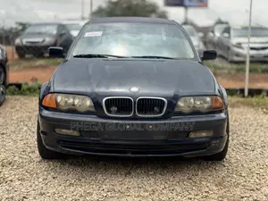 BMW 320i Sedan RWD 2001 Blue