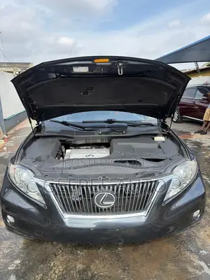 Lexus RX 350 2010 Gray