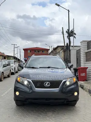 Lexus RX 350 2010 Gray