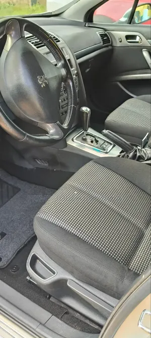 Peugeot 407 2005 Silver