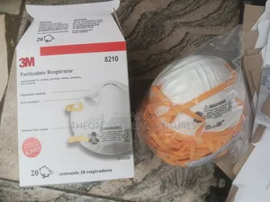 3M Dust Mask (8210)