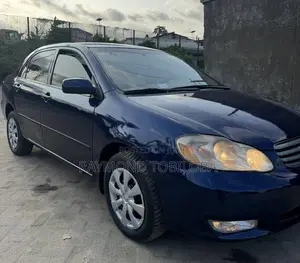 Toyota Corolla 2004 Blue