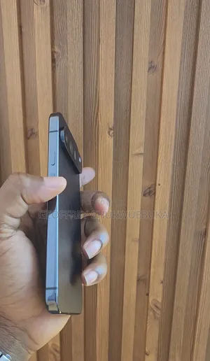 Google Pixel 9 Pro XL 256 GB Gray